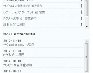 アクセス解析・・・？