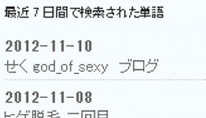 アクセス解析ィィーッ！？